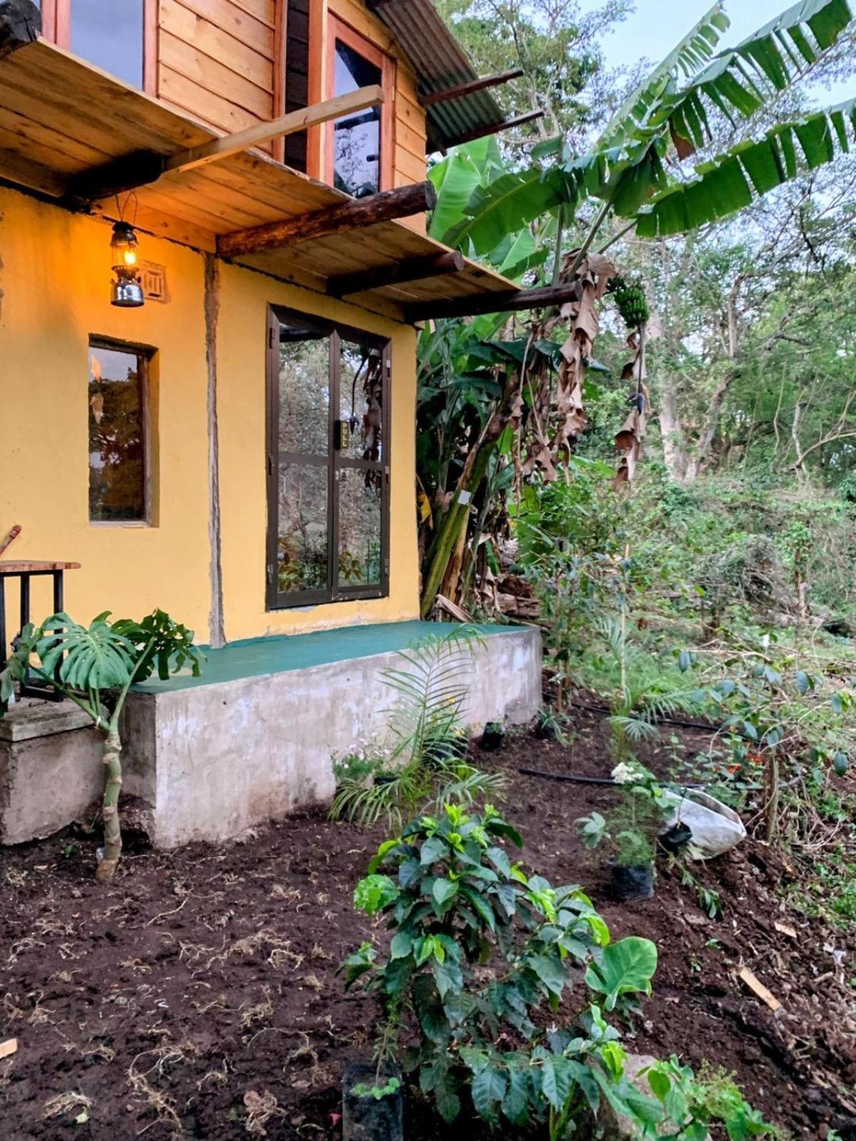 Aroma Home - Eco-Cabins On A Coffee Farm Arusha Exterior photo